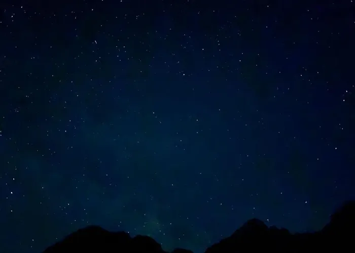 Leka Rrogam i Shales